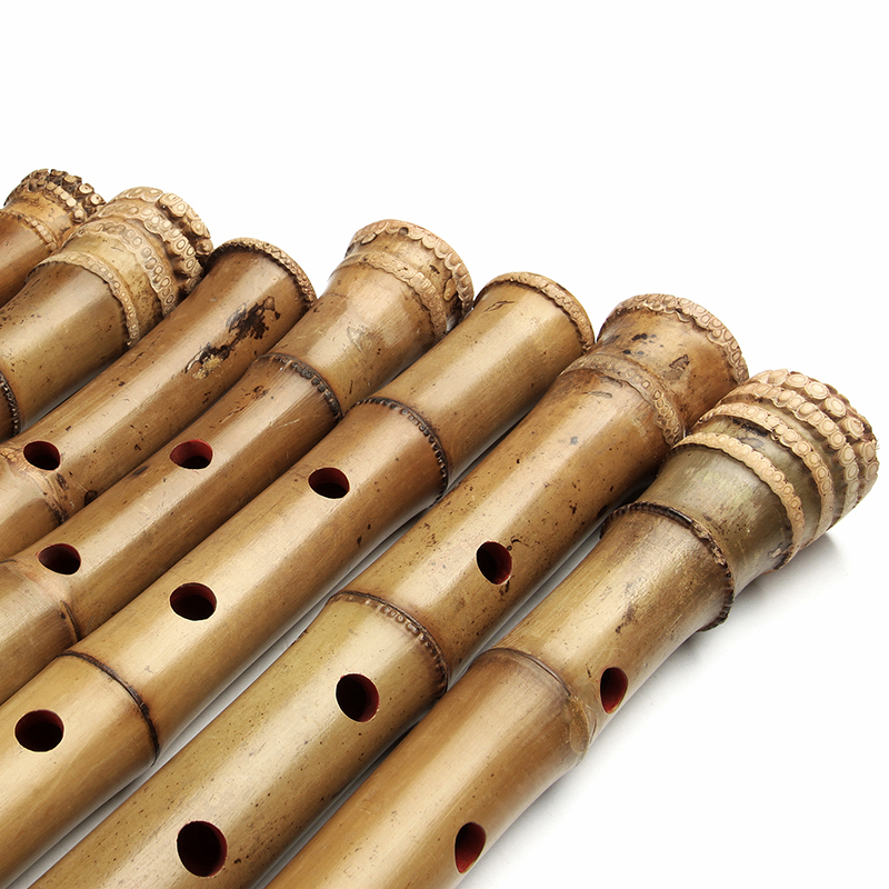 垂直竹笛オリジナル Guizu 竹伝統的な手作り木管楽器 D - Shakuhachi Bamboo Flute のレビューと価格