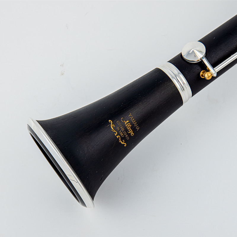 プロの木製クラリネットbb,ケース付き,楽器,ベークライトチ - Musical Instrument Oboe のレビューと価格